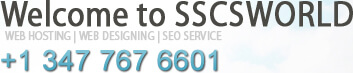 Web Design Services