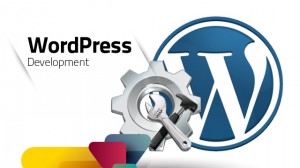 Wordpress Development  