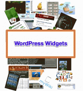 Wordpress Widgets 