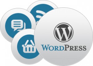 Wordpress Development Services