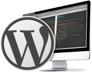 custom-wordpress-development
